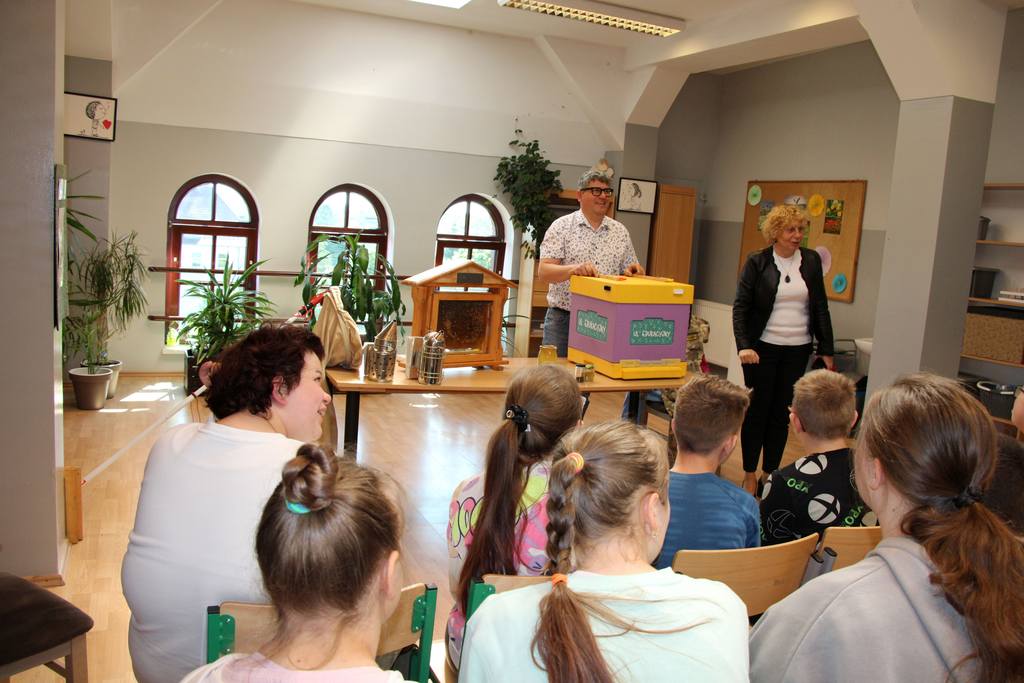 WSDZ - Wewnątrzszkolny System Doradztwa Zawodowego